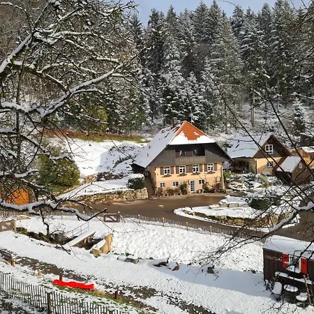 Rechenpeterhaeusle Apartament