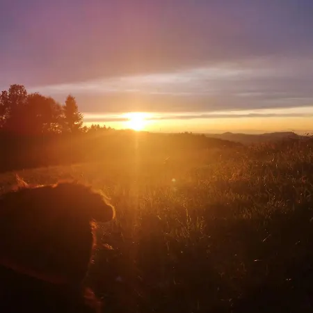 Apartament Rechenpeterhaeusle *