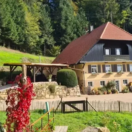 Apartment Rechenpeterhäusle