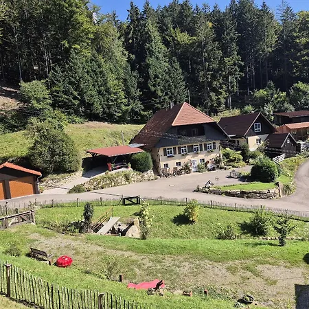 Apartment Rechenpeterhäusle *