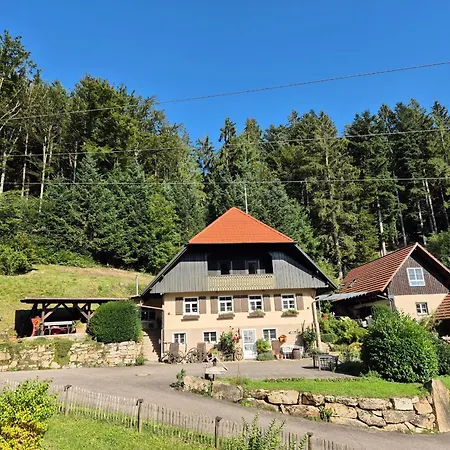Apartment Rechenpeterhäusle *
